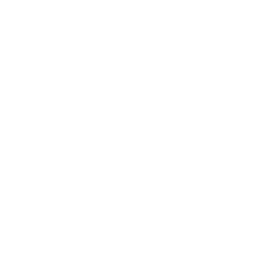 phone-icon